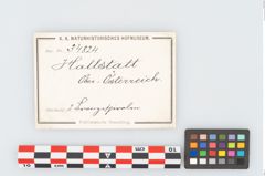 Etikett zu Bronzedoppelspiralnadel (NHMW-PRAE-034824)